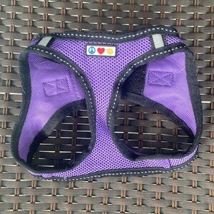 Small purple dog harness